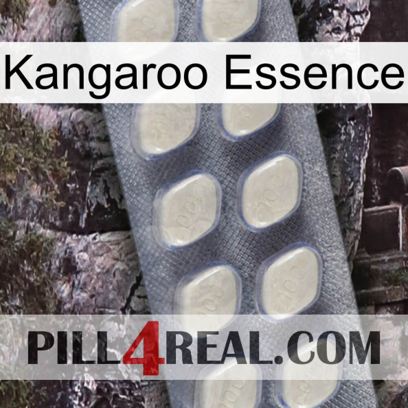 Kangaroo Essence 08.jpg